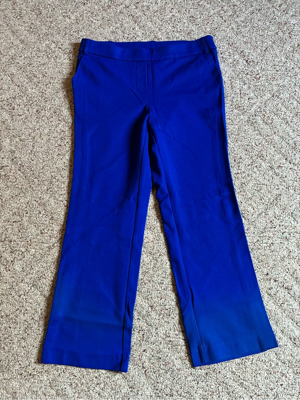 Jules & Leopold Cobalt Blue Women's Pants